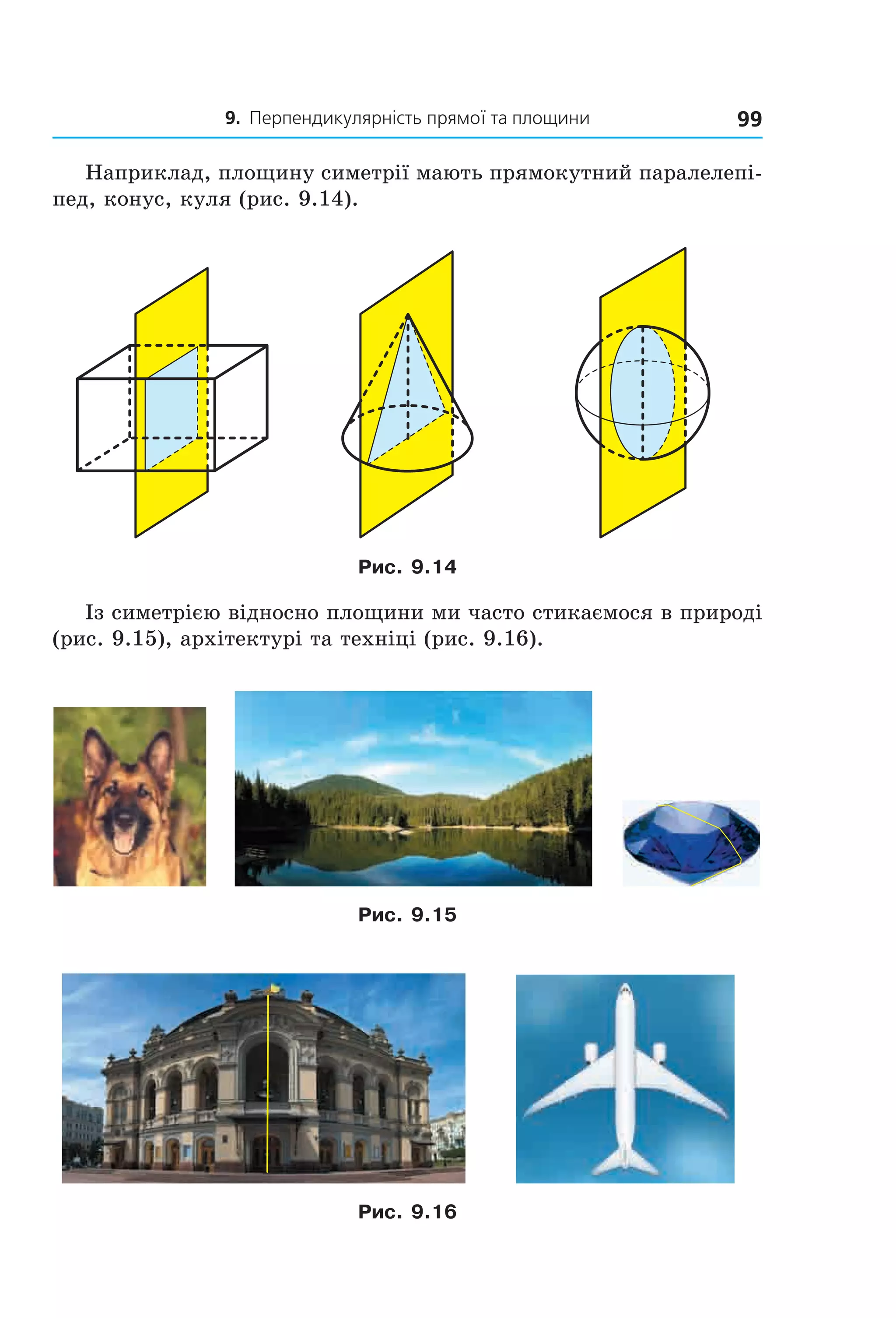 9. Перпендикулярність прямої та площини 99
Наприклад, площину симетрії мають прямокутний паралелепі-
пед, конус, куля (рис. 9.14).
Рис. 9.14
Із симетрією відносно площини ми часто стикаємося в природі
(рис. 9.15), архітектурі та техніці (рис. 9.16).
Рис. 9.15
Рис. 9.16
Право для безоплатного розміщення підручника в мережі Інтернет має
Міністерство освіти і науки України http://mon.gov.ua/ та Інститут модернізації змісту освіти https://imzo.gov.ua
 