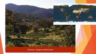 Holoceno. Bosque mediterráneo
 