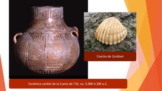 Cerámica cardial de la Cueva de l’Or, ca. 5.000-4.200 a.C.
Concha de Cardium
 