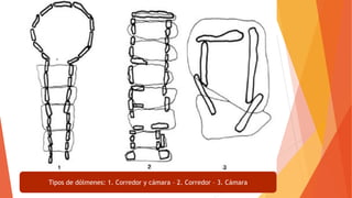 Tipos de dólmenes: 1. Corredor y cámara – 2. Corredor – 3. Cámara
 