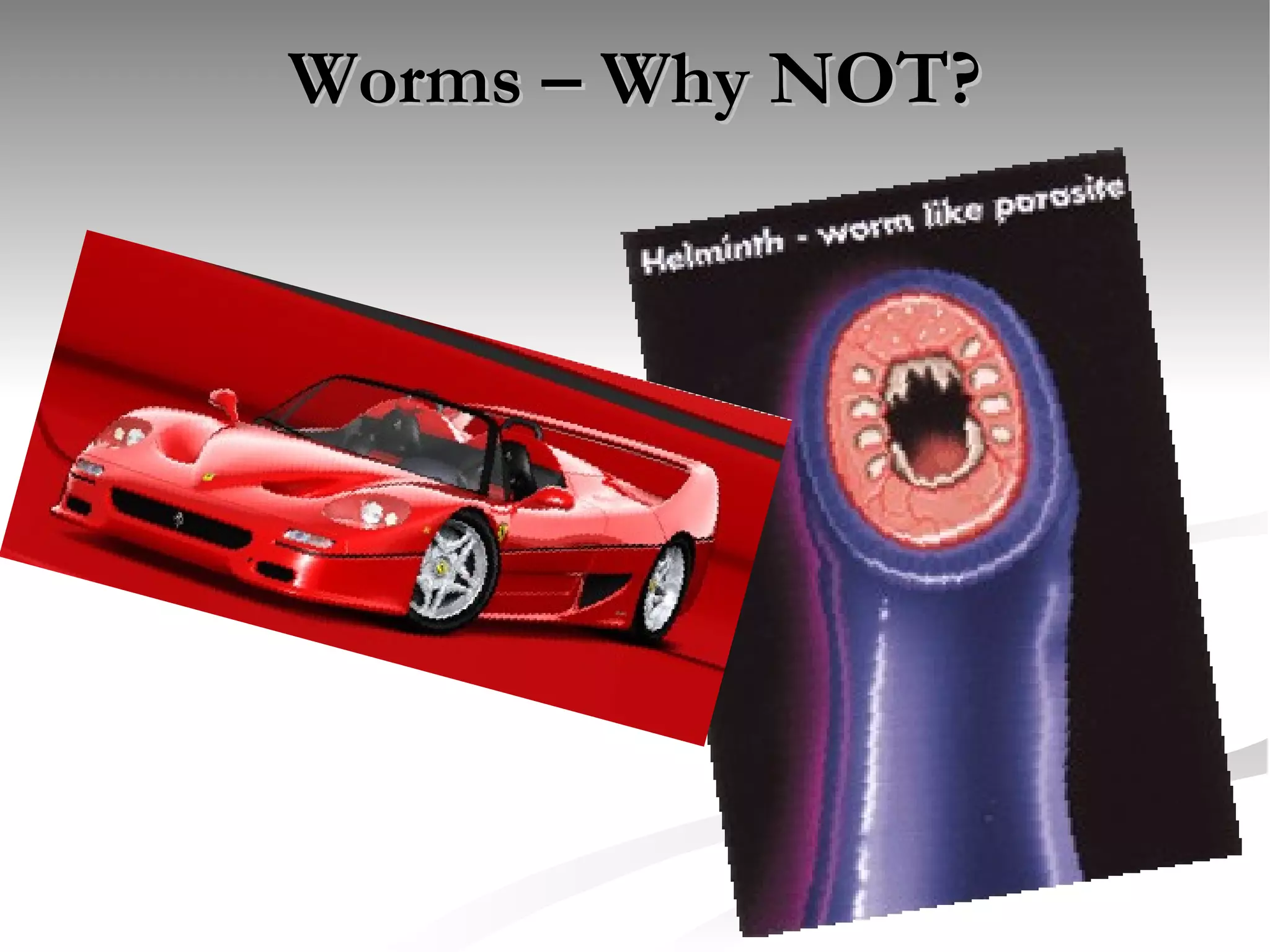 Worms – Why NOT? 