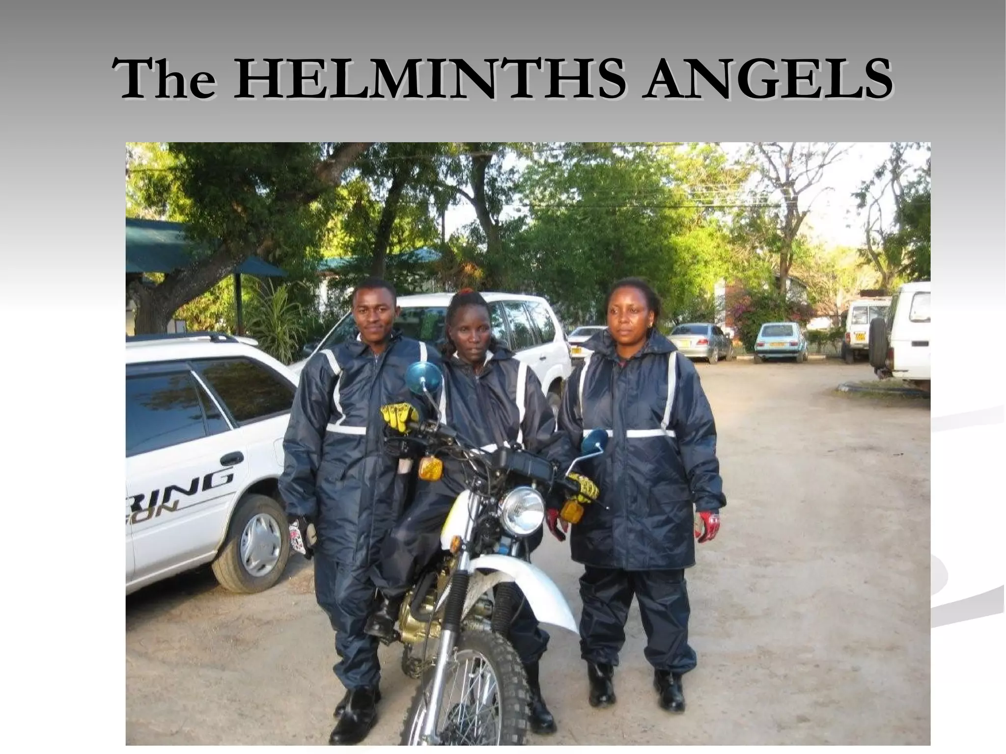 The HELMINTHS ANGELS 
