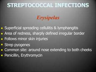 STREPTOCOCCAL INFECTIONS
Erysipelas






Superficial spreading cellulitis & lymphangitis
Area of redness, sharply defined irregular border
Follows minor skin injuries
Strep pyogenes
Common site: around nose extending to both cheeks
Penicillin, Erythromycin
 