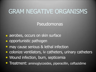 GRAM NEGATIVE ORGANISMS
Pseudomonas






aerobes, occurs on skin surface
opportunistic pathogen
may cause serious & lethal infection
colonize ventilators, iv catheters, urinary catheters
Wound infection, burn, septicemia
Treatment: aminoglycosides, piperacillin, ceftazidime
 