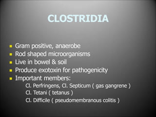 CLOSTRIDIA





Gram positive, anaerobe
Rod shaped microorganisms
Live in bowel & soil
Produce exotoxin for pathogenicity
Important members:
Cl. Perfringens, Cl. Septicum ( gas gangrene )
Cl. Tetani ( tetanus )
Cl. Difficile ( pseudomembranous colitis )
 