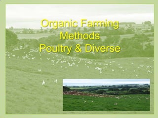 Organic Farming
Methods
Poultry & Diverse
 