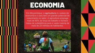 ECONOMIA
Em Moçambique, a agricultura é o esteio da
economia e o país tem um grande potencial de
crescimento no setor. A agricultura emprega
mais de 80% da força de trabalho e fornece
meios de subsistência para a vasta maioria de
mais de 23 milhões de habitantes.
 