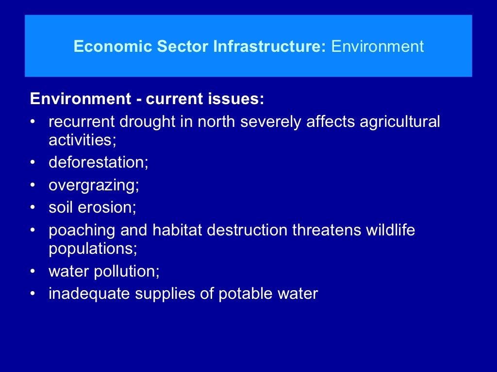 Pfi dissertation 04 picture
