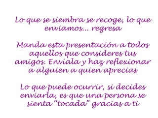 Lo que se siembra se recoge, lo que
        enviamos... regresa

Manda esta presentación a todos
  aquellos que consideres tus
amigos. Envíala y haz reflexionar
  a alguien a quien aprecias

 Lo que puede ocurrir, si decides
 enviarla, es que una persona se
   sienta “tocada” gracias a ti
 