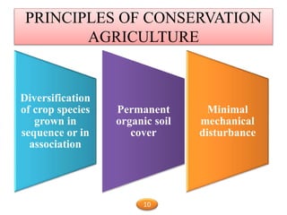 PRINCIPLES OF CONSERVATION
AGRICULTURE
Diversification
of crop species
grown in
sequence or in
association
Permanent
organic soil
cover
Minimal
mechanical
disturbance
10
 