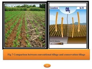 Fig 7 Comparison between conventional tillage and conservation tillage
15
 