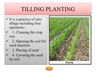 TILLING PLANTING
 It is a practice of zero
tillage including four
operation:-
 1. Cleaning the crop
row
 2. Opening the soil for
seed insertion
 3. Placing of seed
 4. Covering the seed
by soil
18
 