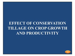 EFFECT OF CONSERVATION
TILLAGE ON CROP GROWTH
AND PRODUCTIVITY
33
 
