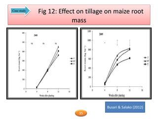 Fig 12: Effect on tillage on maize root
mass
Busari & Salako (2012)
Case study
35
 