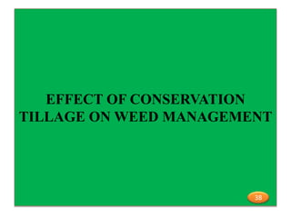 EFFECT OF CONSERVATION
TILLAGE ON WEED MANAGEMENT
38
 