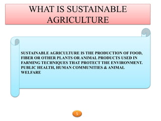 WHAT IS SUSTAINABLE
AGRICULTURE
SUSTAINABLE AGRICULTURE IS THE PRODUCTION OF FOOD,
FIBER OR OTHER PLANTS OR ANIMAL PRODUCTS USED IN
FARMING TECHNIQUES THAT PROTECT THE ENVIRONMENT.
PUBLIC HEALTH, HUMAN COMMUNITIES & ANIMAL
WELFARE
5
 