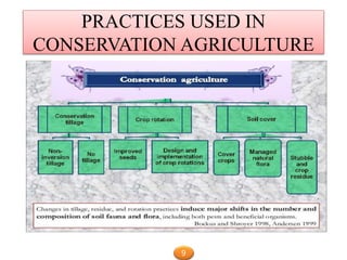 PRACTICES USED IN
CONSERVATION AGRICULTURE
9
 