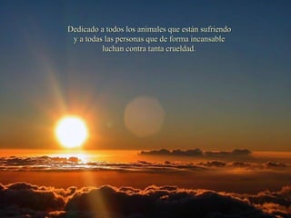 Dedicado a todos los animales que están sufriendoDedicado a todos los animales que están sufriendo
y a todas las personas que de forma incansabley a todas las personas que de forma incansable
luchan contra tanta crueldad.luchan contra tanta crueldad.
 