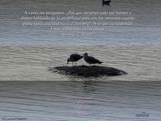 A veces me preguntan: ¿Por qué inviertes todo ese tiempo yA veces me preguntan: ¿Por qué inviertes todo ese tiempo y
dinero hablando de la amabilidad para con los animales cuandodinero hablando de la amabilidad para con los animales cuando
existe tanta crueldad hacia el hombre?. A lo que yo respondo:existe tanta crueldad hacia el hombre?. A lo que yo respondo:
Estoy trabajando en las raícesEstoy trabajando en las raíces
George T. AngellGeorge T. Angell
Hecho en CádizHecho en Cádiz
PorPor
I. MariaI. Maria
LARISALARISA 12/01/15
 