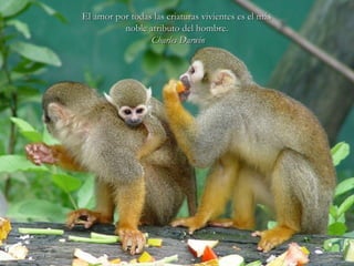 El amor por todas las criaturas vivientes es el másEl amor por todas las criaturas vivientes es el más
noble atributo del hombre.noble atributo del hombre.
Charles DarwinCharles Darwin
 