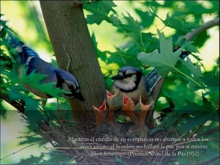 Mientras el círculo de su compasión no abarque a todos losMientras el círculo de su compasión no abarque a todos los
seres vivos, el hombre no hallará la paz por sí mismoseres vivos, el hombre no hallará la paz por sí mismo
Albert SchweitzerAlbert Schweitzer (Premio Nóbel de la Paz1952)(Premio Nóbel de la Paz1952)
 