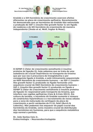 tireóide e o GH-hormônio de crescimento exercem efeitos
diferentes na placa de crescimento epifisária. Recentemente
foi demonstrado que os hormônios da tireóide têm estimulado
a produção do IGF-1 (insulin-like growth factor I) em fígado
de roedores e do GH-hormônio de crescimento de maneira
independente (Ikeda et al, Wolf, Ingbar & Mose).

O IGFBP-3 (fator de crescimento semelhante à insulina
proteína de ligação-3), hoje sabemos que se trata de uma
substância de crucial importância no transporte da tirosina
que por sua vez é precursora da tireoglobulina e por
conseguinte ligada à tireóide, e está intimamente sequenciada
ao HGH Hormônio de crescimento humano – ao IGF-1 (insulinlike growth factor I) produzido no fígado formando uma
sequência crucial de HGH Hormônio de crescimento humano –
IGF-1 (insulin-like growth factor I) produzido no fígado e
IGFBP-3 (fator de crescimento semelhante à insulina proteína
de ligação-3) responsável pelo transporte da tirosina, que
interfere nas regiões epifisárias (Caio & H.Caio 2013). Em
cultura de tecidos, o hormônio da tireóide aumenta o número
de condrócitos hipertróficos e o recrutamento de novas células
para a zona de maturação da cartilagem da placa de
crescimento a partir escápulas de P.I.G. fetal (Burch &
Lebovitz). Não podemos nos esquecer do papel crucial dos
hormônios da tireóide, como maestro crucial da distribuição
dos hormônios em humanos, para que a sequência metabólica
seja normal e perfeita.
Dr. João Santos Caio Jr.
Endocrinologia – Neuroendocrinologista

 