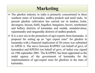 MarketingMarketing
 The gherkin industry in india is primarily concentrated in three
southern states of karnataka, andhra pradesh and tamil nadu. At
present gherkin cultivation has carried out in tumkur, kolar,
davangere, hassan, hubli, bagalkot, bangalore, haveri, ranebennur
and bellary districts of karnataka and medak, amadalavalasa,
rajanmundry and rangareddy districts of andhra pradesh.
 It is a new era in the promotion of agri-exports from karnataka. A
proposal for setting up an “agri export zone” for gherkin in
karantaka with a financial implication of 30 crores was submitted
to APED A. The move between RAPPEC (on behalf of govt, of
karnataka) and KPEDA (on behalf of govt, of india) was signed
on 19th september 2001. The KAPPEC has been appointed as the
nodal agency of the government of karnataka for the
implementation of agri-export zone for gherkins in the state of
karnataka.
 The gherkin industry in india is primarily concentrated in three
southern states of karnataka, andhra pradesh and tamil nadu. At
present gherkin cultivation has carried out in tumkur, kolar,
davangere, hassan, hubli, bagalkot, bangalore, haveri, ranebennur
and bellary districts of karnataka and medak, amadalavalasa,
rajanmundry and rangareddy districts of andhra pradesh.
 It is a new era in the promotion of agri-exports from karnataka. A
proposal for setting up an “agri export zone” for gherkin in
karantaka with a financial implication of 30 crores was submitted
to APED A. The move between RAPPEC (on behalf of govt, of
karnataka) and KPEDA (on behalf of govt, of india) was signed
on 19th september 2001. The KAPPEC has been appointed as the
nodal agency of the government of karnataka for the
implementation of agri-export zone for gherkins in the state of
karnataka.
 