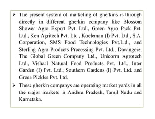  The present system of marketing of gherkins is through
directly in different gherkin company like Blossom
Shower Agro Export Pvt. Ltd., Green Agro Pack Pvt.
Ltd., Ken Agritech Pvt. Ltd., Koeleman (I) Pvt. Ltd., S.A.
Corporation, SMS Food Technologies Pvt.Ltd., and
Sterling Agro Products Processing Pvt. Ltd., Davangere,
The Global Green Company Ltd., Unicorm Agrotech
Ltd., Vishaal Natural Food Products Pvt. Ltd., Inter
Garden (I) Pvt. Ltd., Southern Gardens (I) Pvt. Ltd. and
Green Pickles Pvt. Ltd.
 These gherkin companys are operating market yards in all
the major markets in Andhra Pradesh, Tamil Nadu and
Karnataka.
 The present system of marketing of gherkins is through
directly in different gherkin company like Blossom
Shower Agro Export Pvt. Ltd., Green Agro Pack Pvt.
Ltd., Ken Agritech Pvt. Ltd., Koeleman (I) Pvt. Ltd., S.A.
Corporation, SMS Food Technologies Pvt.Ltd., and
Sterling Agro Products Processing Pvt. Ltd., Davangere,
The Global Green Company Ltd., Unicorm Agrotech
Ltd., Vishaal Natural Food Products Pvt. Ltd., Inter
Garden (I) Pvt. Ltd., Southern Gardens (I) Pvt. Ltd. and
Green Pickles Pvt. Ltd.
 These gherkin companys are operating market yards in all
the major markets in Andhra Pradesh, Tamil Nadu and
Karnataka.
 