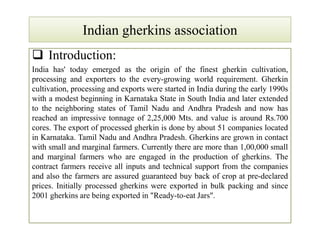 Indian gherkins associationIndian gherkins association
 Introduction:
India has' today emerged as the origin of the finest gherkin cultivation,
processing and exporters to the every-growing world requirement. Gherkin
cultivation, processing and exports were started in India during the early 1990s
with a modest beginning in Karnataka State in South India and later extended
to the neighboring states of Tamil Nadu and Andhra Pradesh and now has
reached an impressive tonnage of 2,25,000 Mts. and value is around Rs.700
cores. The export of processed gherkin is done by about 51 companies located
in Karnataka. Tamil Nadu and Andhra Pradesh. Gherkins are grown in contact
with small and marginal farmers. Currently there are more than 1,00,000 small
and marginal farmers who are engaged in the production of gherkins. The
contract farmers receive all inputs and technical support from the companies
and also the farmers are assured guaranteed buy back of crop at pre-declared
prices. Initially processed gherkins were exported in bulk packing and since
2001 gherkins are being exported in "Ready-to-eat Jars".
 Introduction:
India has' today emerged as the origin of the finest gherkin cultivation,
processing and exporters to the every-growing world requirement. Gherkin
cultivation, processing and exports were started in India during the early 1990s
with a modest beginning in Karnataka State in South India and later extended
to the neighboring states of Tamil Nadu and Andhra Pradesh and now has
reached an impressive tonnage of 2,25,000 Mts. and value is around Rs.700
cores. The export of processed gherkin is done by about 51 companies located
in Karnataka. Tamil Nadu and Andhra Pradesh. Gherkins are grown in contact
with small and marginal farmers. Currently there are more than 1,00,000 small
and marginal farmers who are engaged in the production of gherkins. The
contract farmers receive all inputs and technical support from the companies
and also the farmers are assured guaranteed buy back of crop at pre-declared
prices. Initially processed gherkins were exported in bulk packing and since
2001 gherkins are being exported in "Ready-to-eat Jars".
 