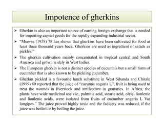 Impotence of gherkinsImpotence of gherkins
 Gherkin is also an important source of earning foreign exchange that is needed
for importing capital goods for the rapidly expanding industrial sector.
 “Meevse (1958) 78 has shown that gherkins have been cultivated for food at
least three thousand years back. Gherkins are used as ingredient of salads as
pickles.”
 The gherkin cultivation mainly concentrated in tropical central and South
America and grown widely in West Indies.
 The European gherkin is not a distinct species of cucumbis but a small form of
cucumber that is also known to be pickling cucumber.
 Gherkin pickled is a favourite lunch substitute in West Sibanda and Chitale
(1999) 80 reported that the juice of “cucumis anguria L”, fruit is being used to
treat the wounds in liverstock and antifeedant in granaries. In Africa, the
plants have wide medicinal use viz., palmitic acid, stearic acid, oleic, lionlenic
and lionlenic acids, were isolated from fruits of cucumber angaria L Var
longipes.” The juice proved highly toxic and the fadicety was reduced, if the
juice was boiled or by boiling the juice.
 Gherkin is also an important source of earning foreign exchange that is needed
for importing capital goods for the rapidly expanding industrial sector.
 “Meevse (1958) 78 has shown that gherkins have been cultivated for food at
least three thousand years back. Gherkins are used as ingredient of salads as
pickles.”
 The gherkin cultivation mainly concentrated in tropical central and South
America and grown widely in West Indies.
 The European gherkin is not a distinct species of cucumbis but a small form of
cucumber that is also known to be pickling cucumber.
 Gherkin pickled is a favourite lunch substitute in West Sibanda and Chitale
(1999) 80 reported that the juice of “cucumis anguria L”, fruit is being used to
treat the wounds in liverstock and antifeedant in granaries. In Africa, the
plants have wide medicinal use viz., palmitic acid, stearic acid, oleic, lionlenic
and lionlenic acids, were isolated from fruits of cucumber angaria L Var
longipes.” The juice proved highly toxic and the fadicety was reduced, if the
juice was boiled or by boiling the juice.
 