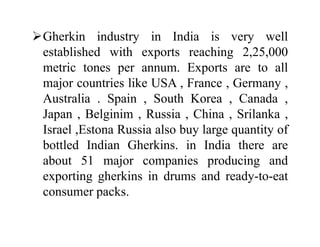 Gherkin industry in India is very well
established with exports reaching 2,25,000
metric tones per annum. Exports are to all
major countries like USA , France , Germany ,
Australia . Spain , South Korea , Canada ,
Japan , Belginim , Russia , China , Srilanka ,
Israel ,Estona Russia also buy large quantity of
bottled Indian Gherkins. in India there are
about 51 major companies producing and
exporting gherkins in drums and ready-to-eat
consumer packs.
Gherkin industry in India is very well
established with exports reaching 2,25,000
metric tones per annum. Exports are to all
major countries like USA , France , Germany ,
Australia . Spain , South Korea , Canada ,
Japan , Belginim , Russia , China , Srilanka ,
Israel ,Estona Russia also buy large quantity of
bottled Indian Gherkins. in India there are
about 51 major companies producing and
exporting gherkins in drums and ready-to-eat
consumer packs.
 