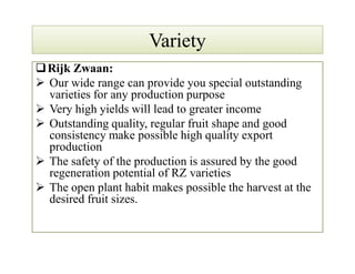 VarietyVariety
Rijk Zwaan:
 Our wide range can provide you special outstanding
varieties for any production purpose
 Very high yields will lead to greater income
 Outstanding quality, regular fruit shape and good
consistency make possible high quality export
production
 The safety of the production is assured by the good
regeneration potential of RZ varieties
 The open plant habit makes possible the harvest at the
desired fruit sizes.
Rijk Zwaan:
 Our wide range can provide you special outstanding
varieties for any production purpose
 Very high yields will lead to greater income
 Outstanding quality, regular fruit shape and good
consistency make possible high quality export
production
 The safety of the production is assured by the good
regeneration potential of RZ varieties
 The open plant habit makes possible the harvest at the
desired fruit sizes.
 