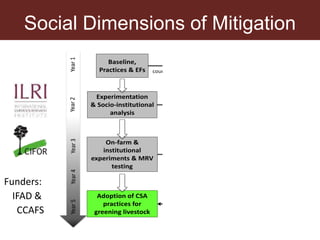 The social dimensions of mitigation