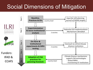 The social dimensions of mitigation