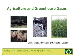 Agriculture and Greenhouse Gases




                              Jill Heemstra, University of Nebraska - Lincoln


Building Environmental Leaders in Animal Agriculture (BELAA)
 