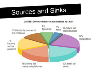 Sources and Sinks 