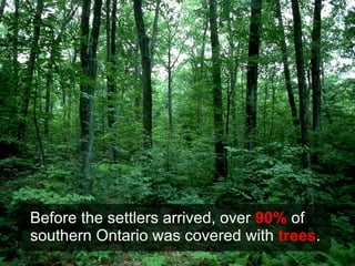 Before the settlers arrived, over  90%  of southern Ontario was covered with  trees . 