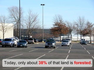 Today, only about  38%  of that land is  forested . 