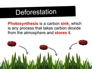 Photosynthesis  is a carbon  sink , which is any process that takes carbon dioxide from the atmosphere and  stores  it. Deforestation 