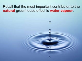 Recall that the most important contributor to the  natural  greenhouse effect is  water vapour . 