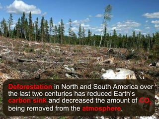 Deforestation  in North and South America over the last two centuries has reduced Earth’s  carbon sink  and decreased the amount of  CO 2  being removed from the  atmosphere . 