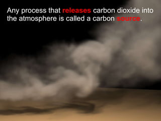 Any process that  releases  carbon dioxide into the atmosphere is called a carbon  source . 
