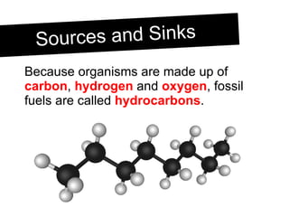 Because organisms are made up of  carbon ,  hydrogen  and  oxygen , fossil fuels are called  hydrocarbons . Sources and Sinks 