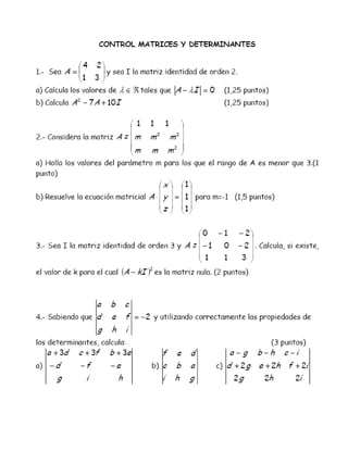 Examen matrices-determinantes