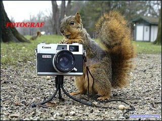 FOTOGRAF 