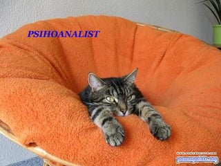 PSIHOANALIST 