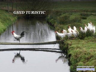 GHID TURISTIC 