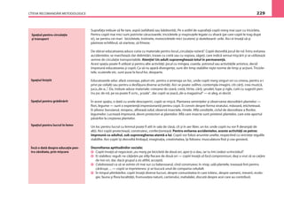 CÎTEVA RECOMANDĂRI METODOLOGICE 229
Spaţiul pentru circulaţie
şi transport
Suprafaţa trebuie să ﬁe tare, aspră (asfaltată sau bătătorită). Pe o astfel de suprafaţă copiii merg mai uşor cu tricicleta.
Pentru copiii mai mici sunt potrivite cărucioarele, tricicletele şi maşinuţele legate cu sfoară (pe care copiii le trag după
ei), iar pentru cei mari bicicletele, trotinete, motocicletele mici (scutere) şi skateboard- urile. Aici ei învaţă să-şi
păstreze echilibrul, să starteze, să frîneze.
De obicei educatoarea aduce cutia cu materiale pentru locul„circulaţia rutieră”. Copiii dezvoltă jocul de rol. Întru evitarea
accidentelor, se marchează clar delimitări, trasee cu cretă sau cu vopsea, săgeţi, care indică sensul mişcării şi se utilizează
semne de circulaţie transportabile. Atenţie! Un adult supraveghează totul în permanenţă.
Acest spaţiu poate ﬁ utilizat şi pentru alte activităţi: jocul cu mingea, coarda, şotronul sau activităţile artistice, decid
împreună educatoarea şi copiii. Ca să nu apară divergenţe, sunt din timp stabilite nişte norme de timp şi acţiuni. Tricicle-
tele, scuterele etc. sunt puse la locul lor, deoparte.
Educatoarele aduc afară covoraşe, pături etc. pentru a amenaja un loc, unde copiii merg singuri ori cu cineva, pentru a-i
privi pe ceilalţi sau pentru a desfăşura diverse activităţi. Aici se poate: odihni, contempla imagini, citi cărţi, crea muzică,
juca„de-a...”. Da, trebuie aduse materiale: creioane de ceară, cretă, hîrtie, cărţi, şevalet, lupe şi rigle, cutii cu sugestii pen-
tru joc de rol, pe ea poate ﬁ scris„ şcoala”, dar copiii se joacă„de-a magazinul”— ei aleg, ei decid.
În acest spaţiu, o dată cu unele descoperiri, copiii se mişcă. Plantarea seminţelor şi observarea dezvoltării plantelor —
ﬂori, legume — sunt o experienţă impresionantă pentru copii. Ei convin despre forma stratului, măsoară, etichetează.
Ei plivesc buruianul, stropesc, afînează solul, observă insectele, rîmele. Aﬂă condiţiile, ciclul de dezvoltare a ﬂorilor,
legumelor. Lucrează împreună, devin protectori ai plantelor. Aﬂă care insecte sunt prietenii plantelor, care este aportul
păsărilor la creşterea plantelor.
Un loc pentru lucrul cu lemnul poate ﬁ atît în sala de clasă, cît şi în aer liber, un loc unde copiii nu vor ﬁ deranjaţi de
alţii. Aici copiii proiectează, construiesc, confecţionează. Pentru evitarea accidentelor, aceste activităţi se petrec
împreună cu adultul, sub suprevegherea atentă a lui. Copiii vor folosi anumite unelte, respectînd cu stricteţe regulile
stabilite. Aici copiii îşi dezvoltă limbajul, imaginaţia, creativitatea, îşi folosesc musculatura ﬁnă şi cea grosieră.
Dezvoltarea aptitudinilor sociale:
Copiii învaţă să negocieze:„eu merg pe bicicletă de două ori, apoi ţi-o dau, iar tu îmi cedezi scrînciobul”.
Ei stabilesc reguli: ne căţărăm pe stîlp ﬁecare de două ori — copiii învaţă să facă compromisuri, deşi a vrut să se caţăre
de trei ori, dar, dacă grupul a zis altfel, acceptă.
Colaborează ca să se avînte cît mai sus cu balansoarul, cînd construiesc în nisip, udă plantele, trasează linii pentru
cărăruşe, ... — copiii se împrietenesc şi se bucură unul de compania celuilalt.
În timpul plimbărilor, copiii învaţă diverse lucruri, despre comunitatea în care trăiesc, despre oameni, meserii, ecolo-
gie, fauna şi ﬂora localităţii, frumuseţea naturii, cartierului, mahalalei, discută despre acei care au contribuit.
Spaţiul liniştit
Spaţiul pentru grădinărit
Spaţiul pentru lucrul în lemn
Încă o dată despre educaţie pen-
tru sănătate, prin mişcare
 