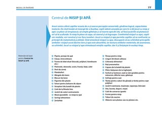 MEDIUL DE ÎNVĂŢARE 77
Centrul de NISIP ŞI APĂ
Acest centru oferă copiilor ocazia de a-şi exersa percepţia senzorială, gîndirea logică, capacitatea
motorie. De cînd învaţă să meargă de-a buşilea, copiii adoră senzaţia pe care le-o dă jocul cu nisip şi
apă. Le place să stropească, să umple găletuţe şi să toarne apă din ele, să facă jucăriile să plutească
ori să le scufunde. În nisip le place să sape, să cearnă şi să îngroape. Combinînd nisipul cu apa, copiii
vor modela, vor construi şi vor face tuneluri. Jocul cu nisipul şi apa permite copiilor să se confrunte cu
principii de matematică şi ştiinţă. Cînd amestecă nisipul cu apa, descoperă că au schimbat principiile
ambelor: nisipul uscat devine tare şi apa este absorbită, iar textura ambelor materiale, de asemenea,
se schimbă. Jocul cu nisipul şi apa stimulează minţile copiilor, dar îi şi linişteşte în acelaşi timp.
Materiale de bază
pentru Centrul de
NISIP ŞI APĂ
Pipete, pompe de apă
Căuşe, strecurătoare
Forme de tăiat aluat (biscuiţi, prăjituri, bomboane
etc.)
Pietricele, rămurele, scoici, frunze, beţe, solzi
Perii de sîrmă
Pămătufuri
Mărgele din lemn
Blocuri de lemn
Figurine din plastic
Seturi pentru baloane de săpun
Stropitori din butelii de plastic
Cutii de la ﬁlmele foto
Jucării de culori contrastante
Masă ajustabilă - cu nisip/cu apă
Seringi alimentare
Şorţuleţe
Făraşe pentru nisip
Linguri de dozat cafeaua
Coloranţi alimentari
Roţi pneumatice
Capace de la butelii de plastic
Pîlnii, beţişoare de la îngheţată
Farfurii şi tacîmuri, ceşti şi căni gradate pentru
măsurare, diferite vase, găletuşe
Gofraje pentru ouă
Tăviţe pentru cuburi de gheaţă şi tăviţe pentru copt
prăjituri
Jucării (camioane, maşinuţe, vaporaşe, bărcuţe)
Site, burete, dopuri, cleşte
Cutii de conserve (goale)
Forme pentru nisip
Tuburi de cauciuc
Obiecte care plutesc sau nu plutesc etc.
 