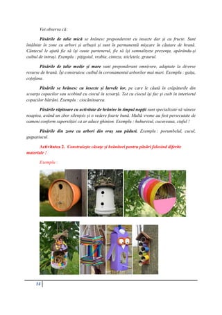 14
Vei observa că:
Păsările de talie mică se hrănesc preponderent cu insecte dar și cu fructe. Sunt
întălnite în zone cu arbori și arbuști și sunt în permanentă mișcare în căutare de hrană.
Căntecul le ajută fie să își caute partenerul, fie să își semnalizeze prezența, apărându-și
cuibul de intruși. Exemplu : pițigoiul, vrabia, cinteza, sticletele, graurul.
Păsările de talie medie și mare sunt preponderant omnivore, adaptate la diverse
resurse de hrană. Își construiesc cuibul în coronamentul arborilor mai mari. Exemplu : gaița,
coțofana.
Păsările se hrănesc cu insecte și larvele lor, pe care le căută în crăpăturile din
scoarța copacilor sau scobind cu ciocul în scoarță. Tot cu ciocul își fac și cuib în interiorul
copacilor bătrăni. Exemplu : ciocănitoarea.
Păsările răpitoare cu activitate de hrănire în timpul nopții sunt specializate să vâneze
noaptea, având un zbor silențois și o vedere foarte bună. Multă vreme au fost persecutate de
oameni conform superstiției ca ar aduce ghinion. Exemplu : huhurezul, cucuveaua, ciuful !
Păsările din zone cu arbori din oraș sau păduri. Exemplu : porumbelul, cucul,
guguștiucul.
Activitatea 2. Construiește căsuțe și hrănitori pentru păsări folosind diferite
materiale !
Exemplu :
 